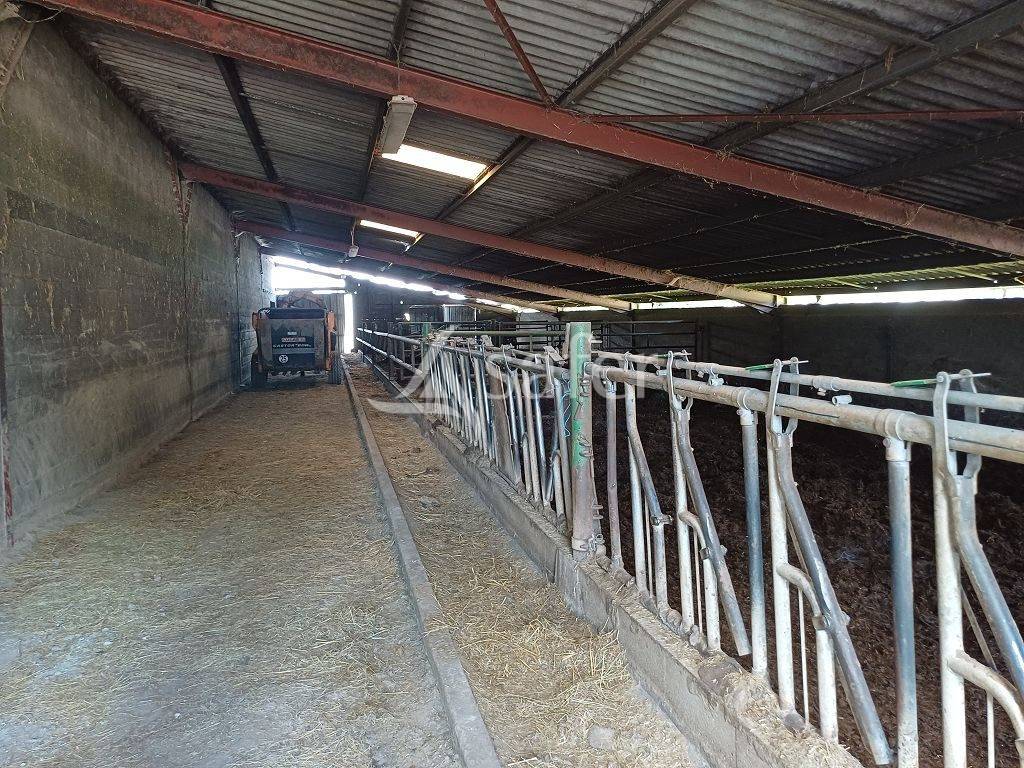 Other agricultural property  Haute-Vienne