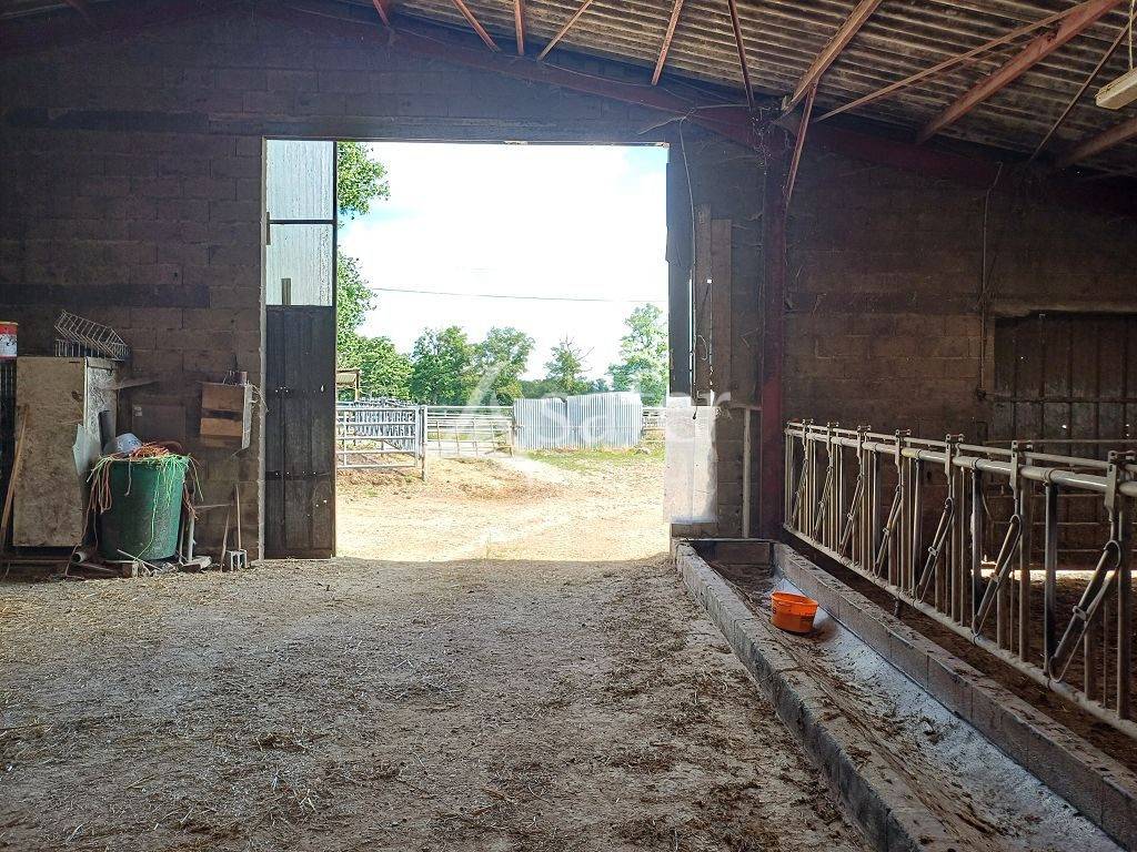 Other agricultural property  Haute-Vienne