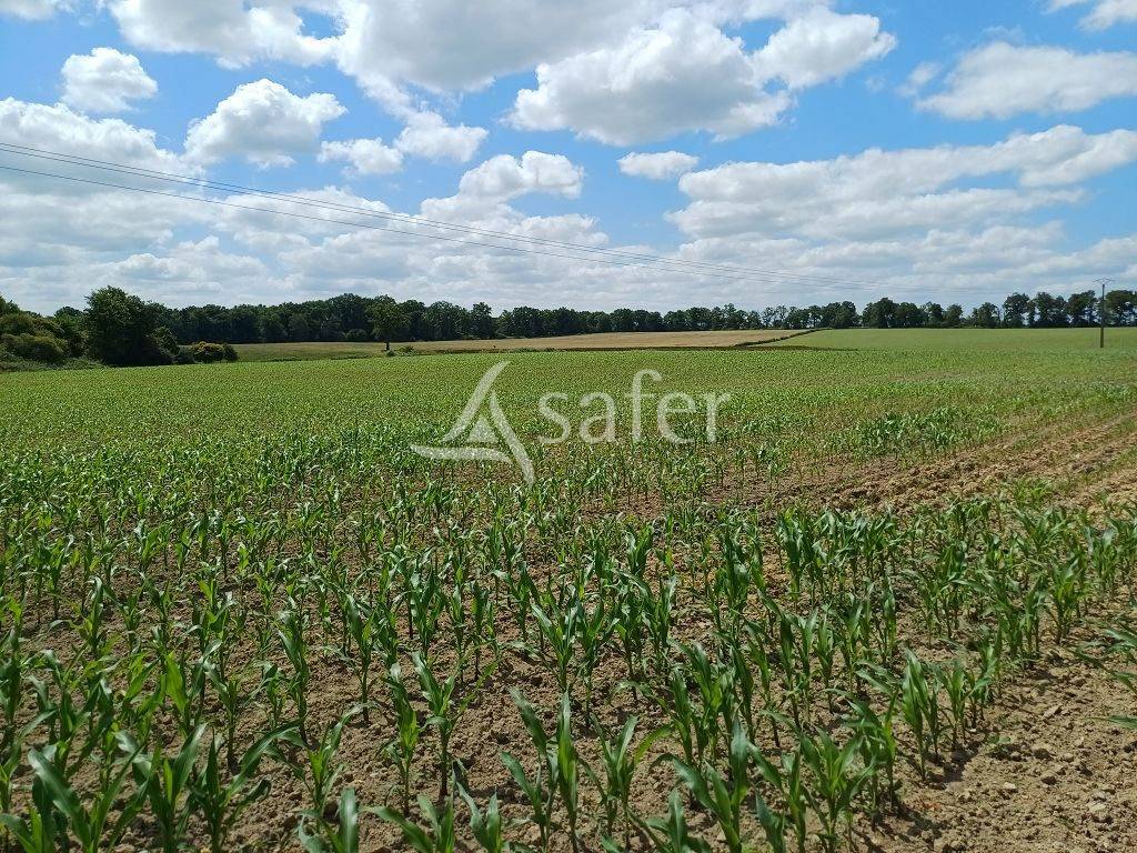Other agricultural property  Haute-Vienne