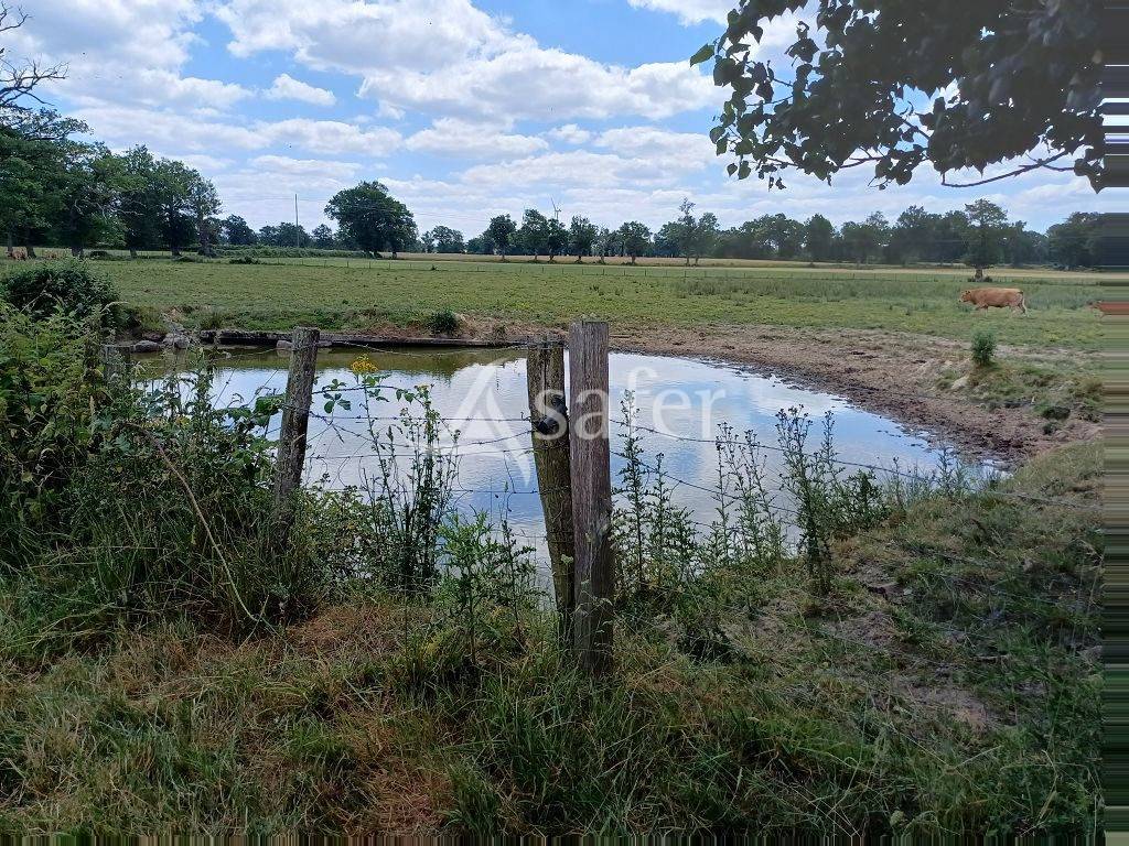Other agricultural property  Haute-Vienne