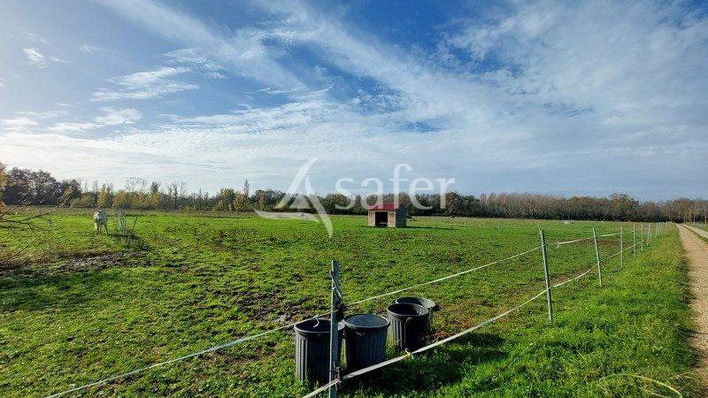 Equestrian property  Gironde