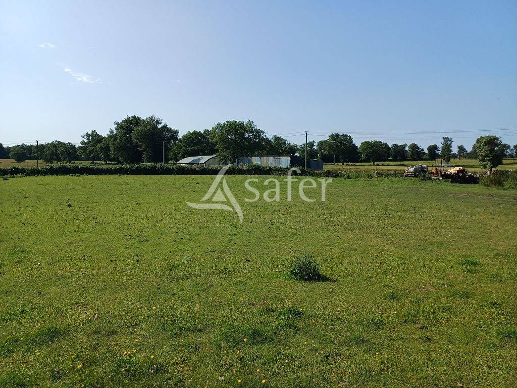 Sheep farm  Haute-Vienne