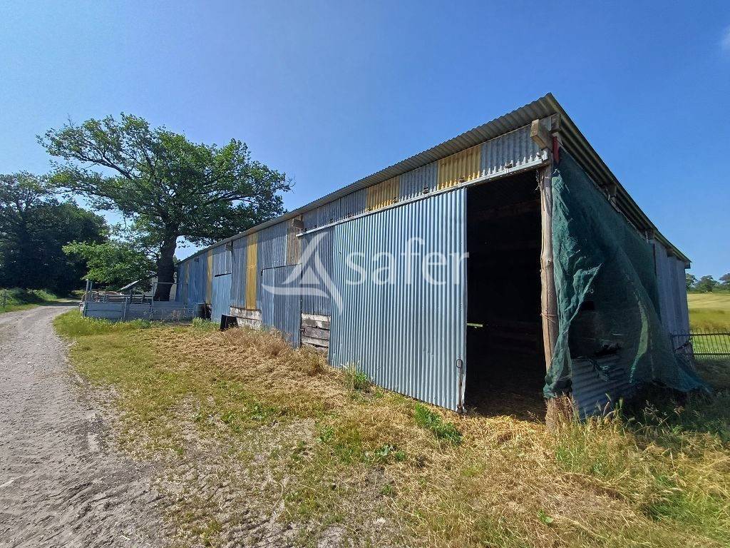 Sheep farm  Haute-Vienne