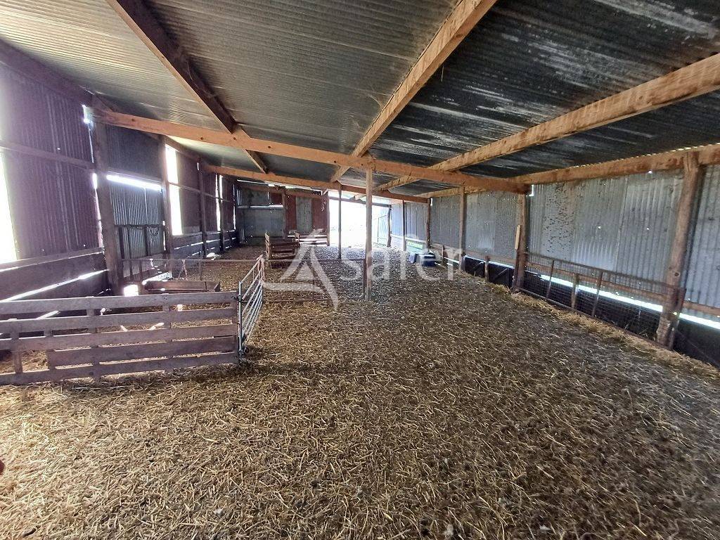 Sheep farm  Haute-Vienne