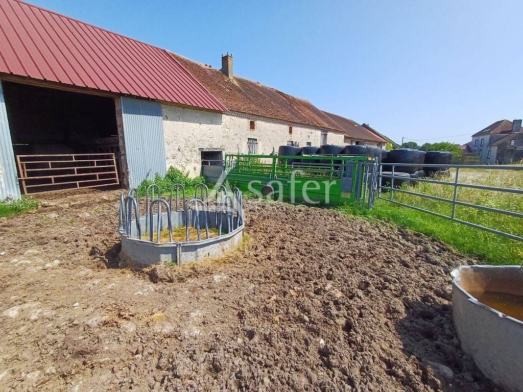 Sheep farm  Haute-Vienne
