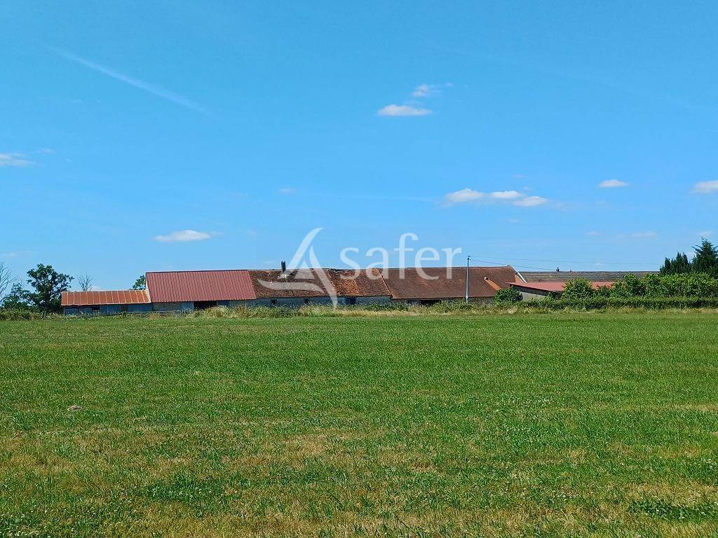 Sheep farm  Haute-Vienne
