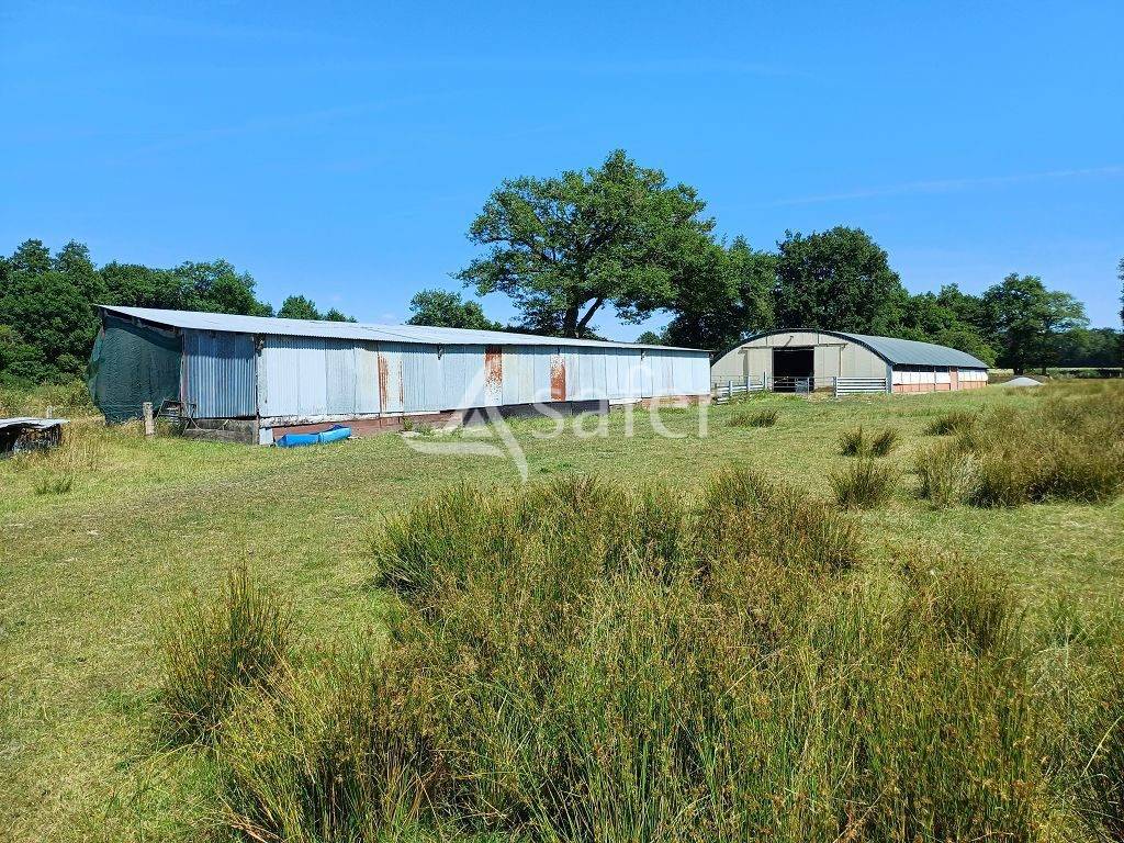 Sheep farm  Haute-Vienne