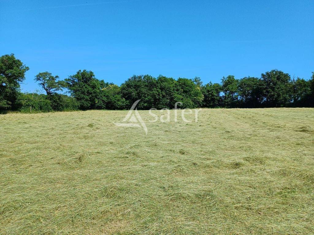 Sheep farm  Haute-Vienne