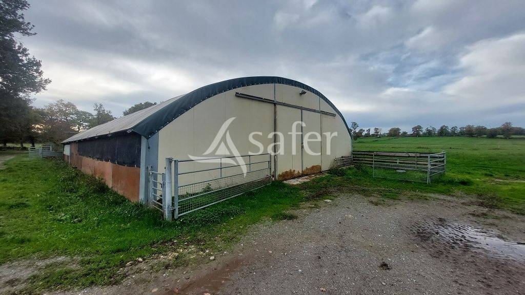 Sheep farm  Haute-Vienne