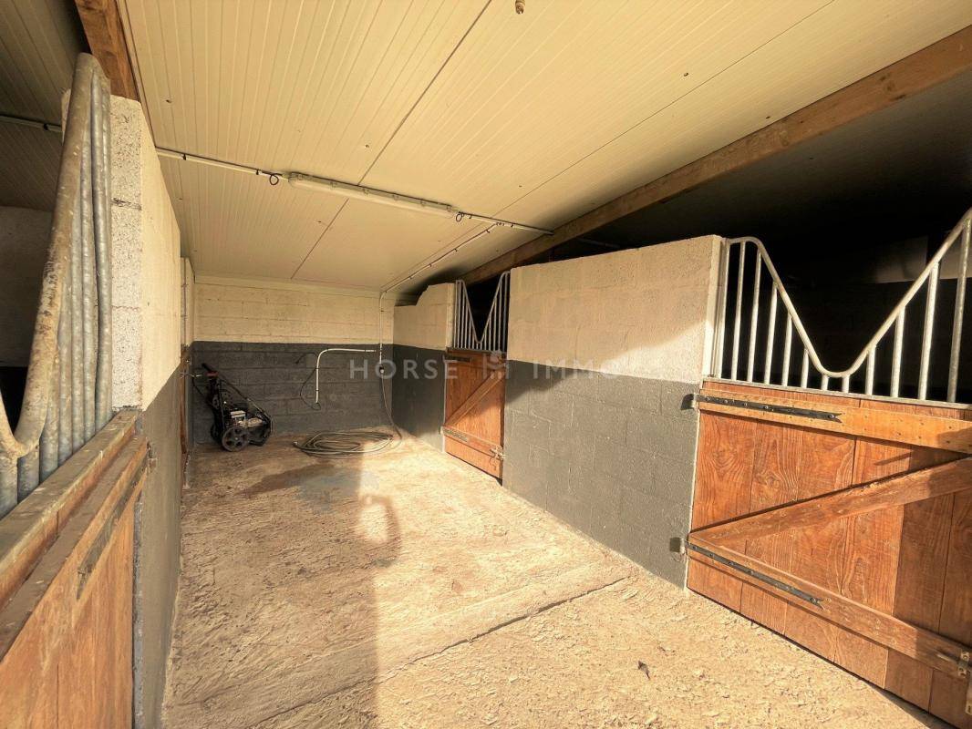 Stud farm  Maine-et-Loire