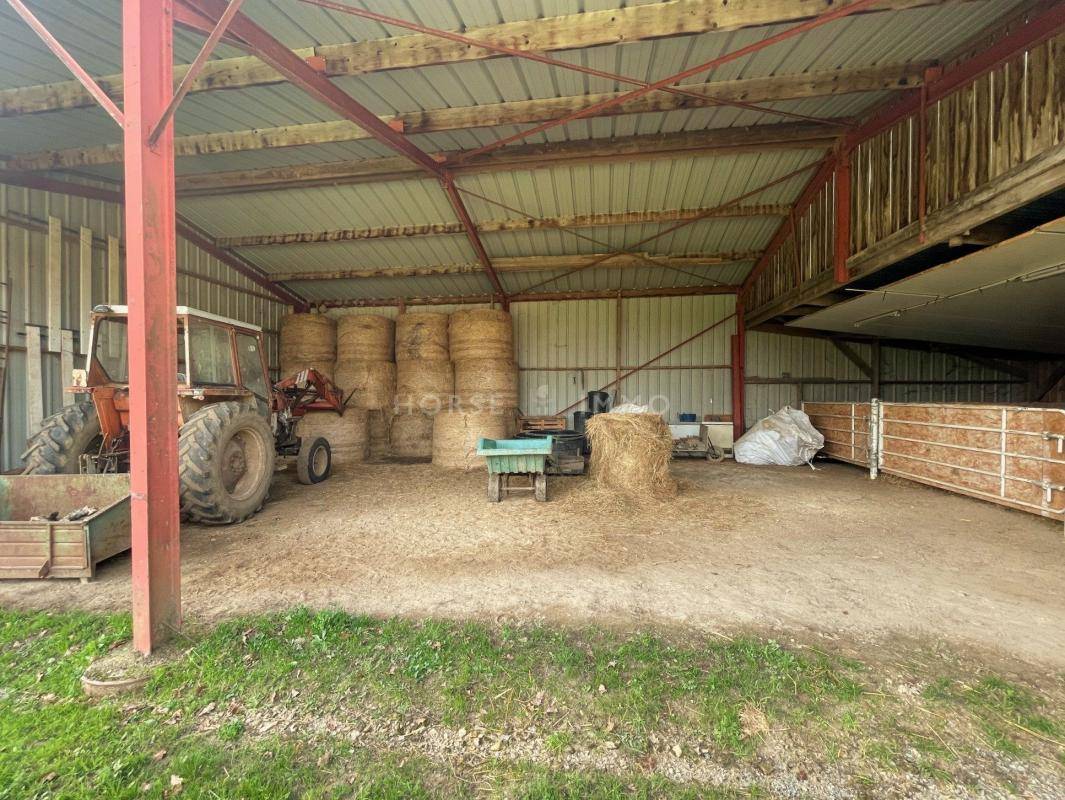 Stud farm  Maine-et-Loire