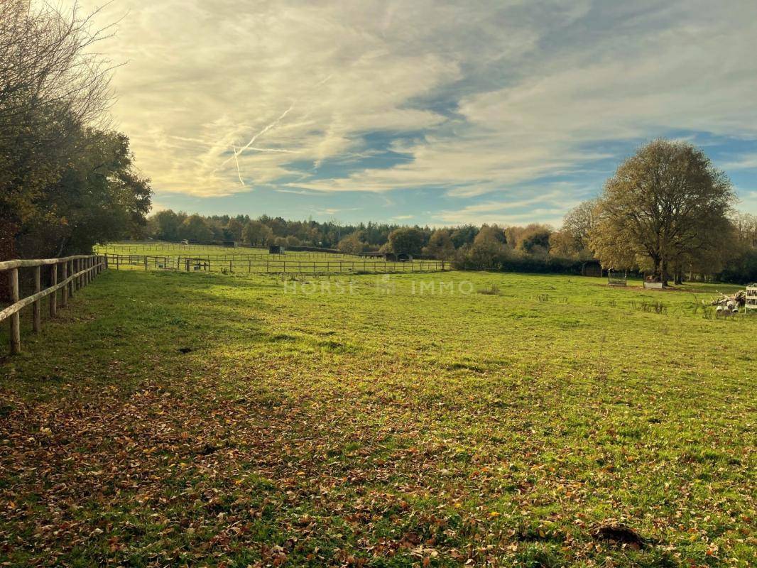 Stud farm  Maine-et-Loire