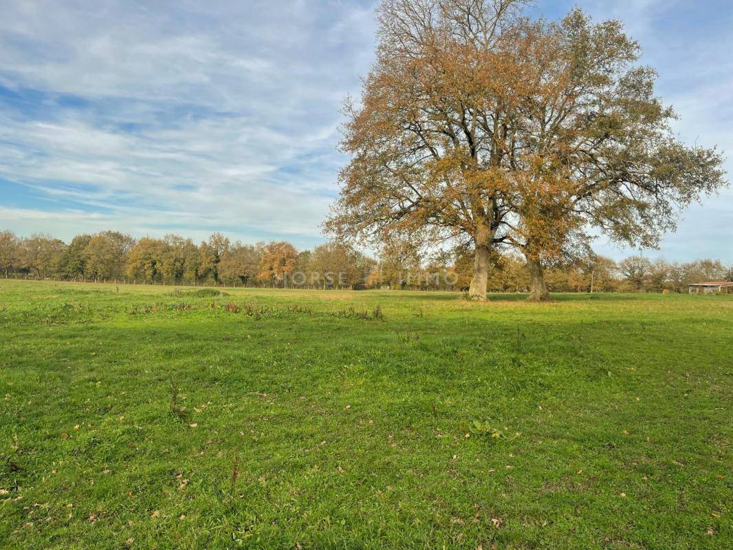 Stud farm  Maine-et-Loire