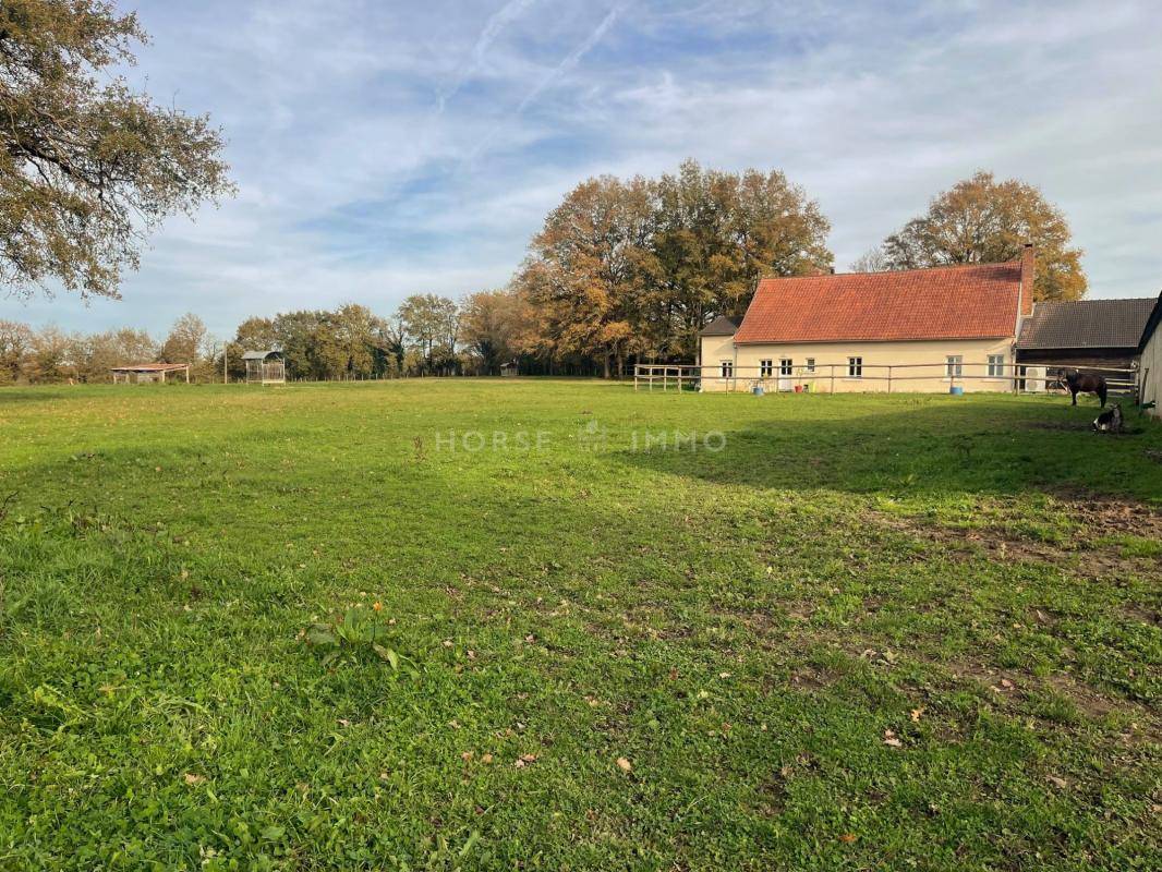 Stud farm  Maine-et-Loire
