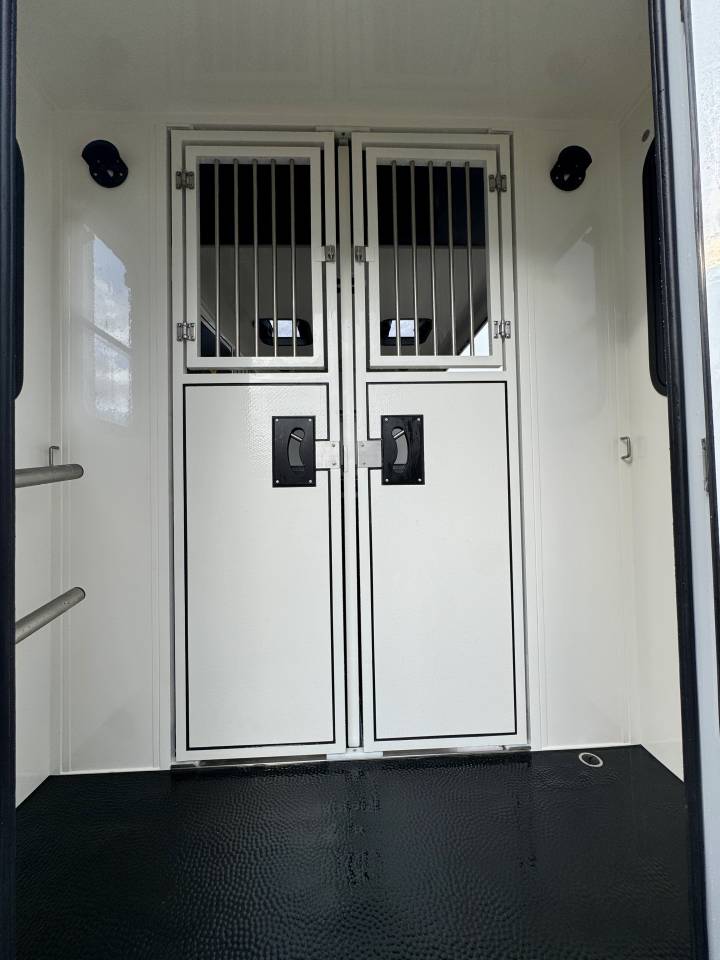 Horsebox HGV Ameline Renault Master 2025 New