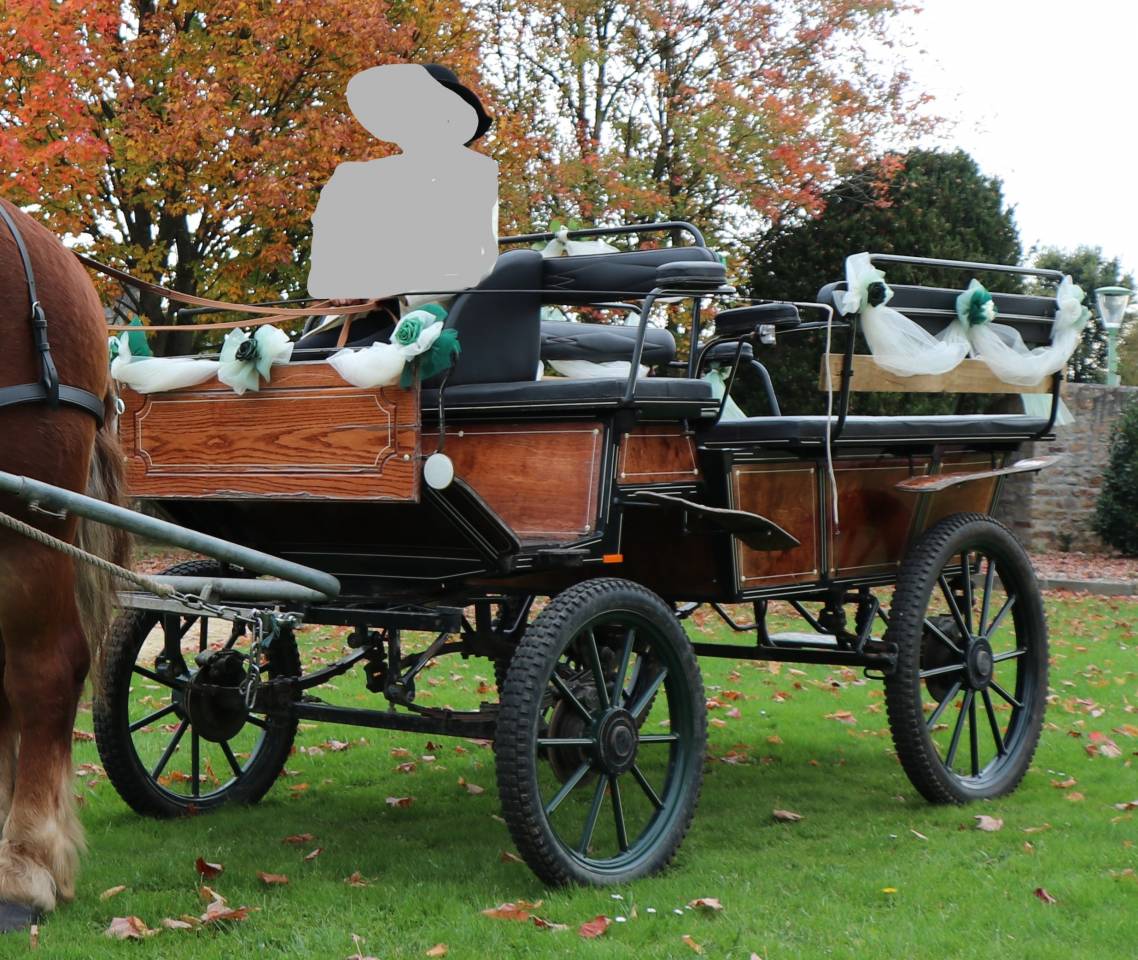 Carriage - Wagonnette - Other brand -  