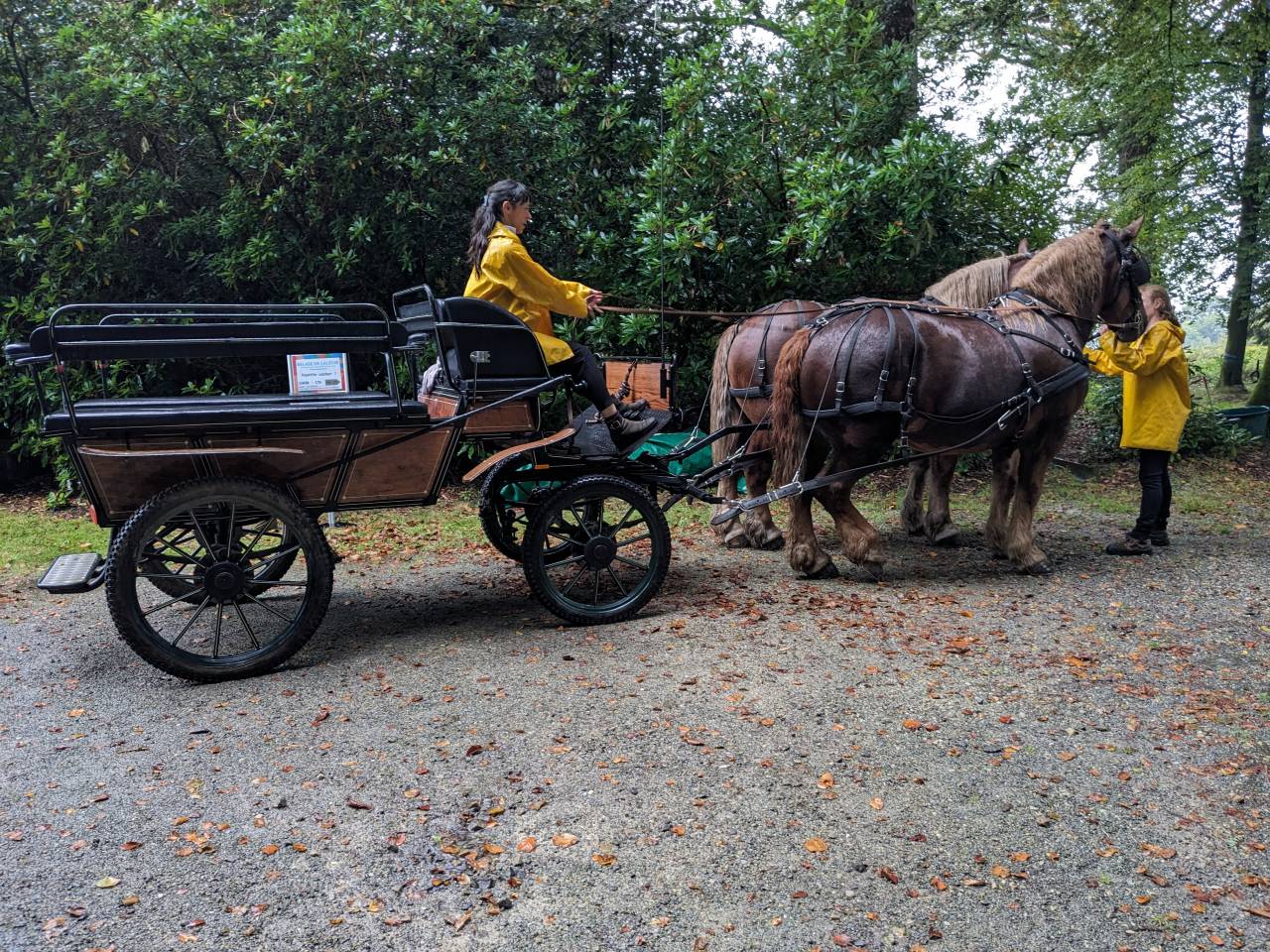 Carriage - Wagonnette - Other brand -  