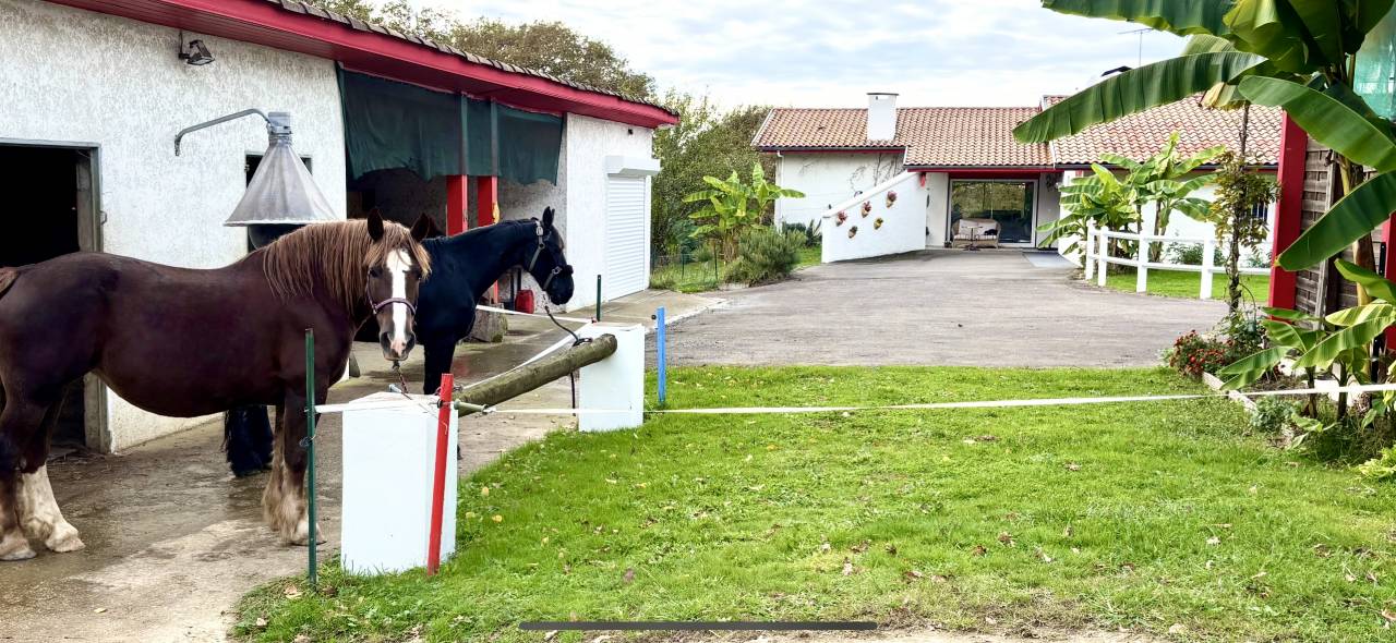 Equestrian property  Landes
