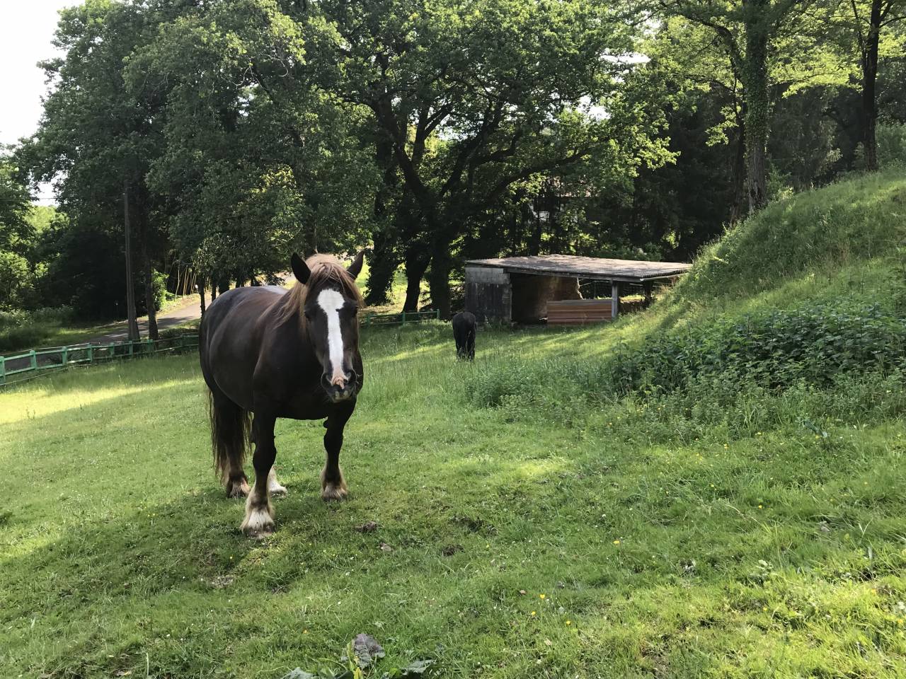 Equestrian property  Landes