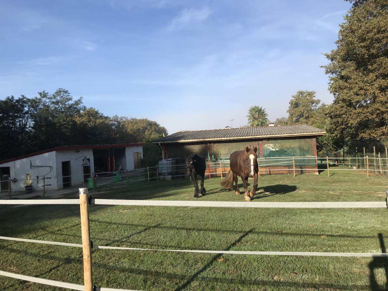 Equestrian property  Landes