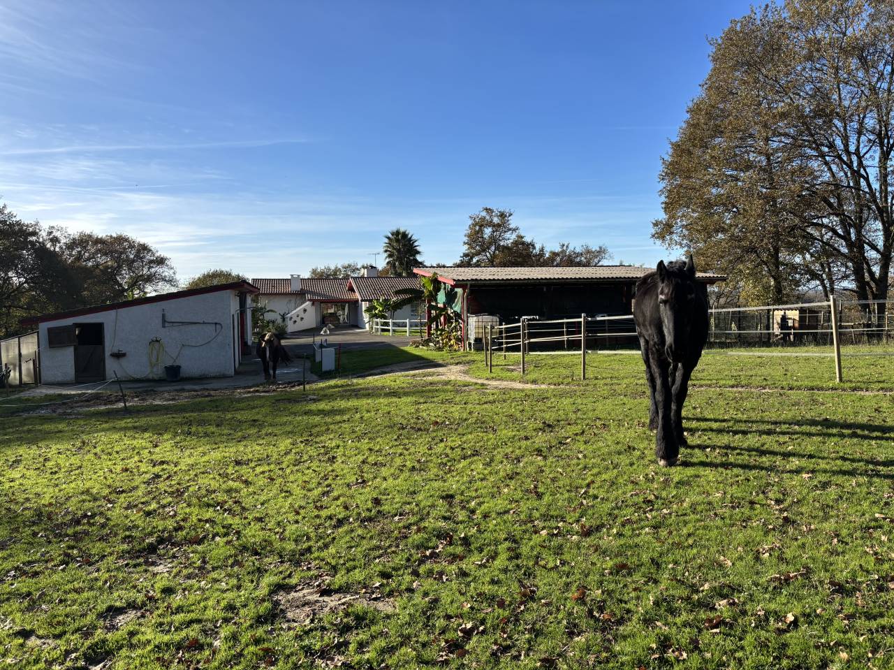Equestrian property  Landes