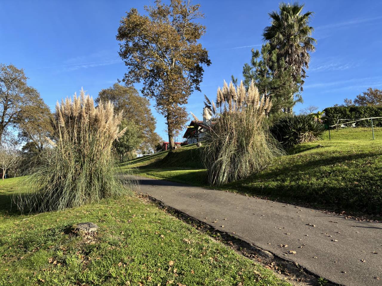 Equestrian property  Landes