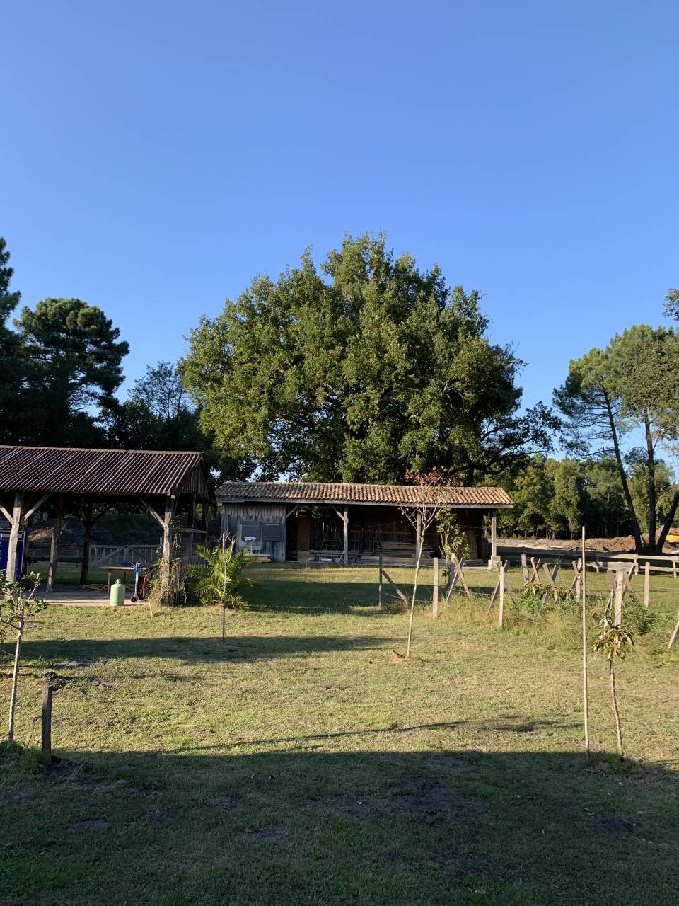 Equestrian property  Gironde