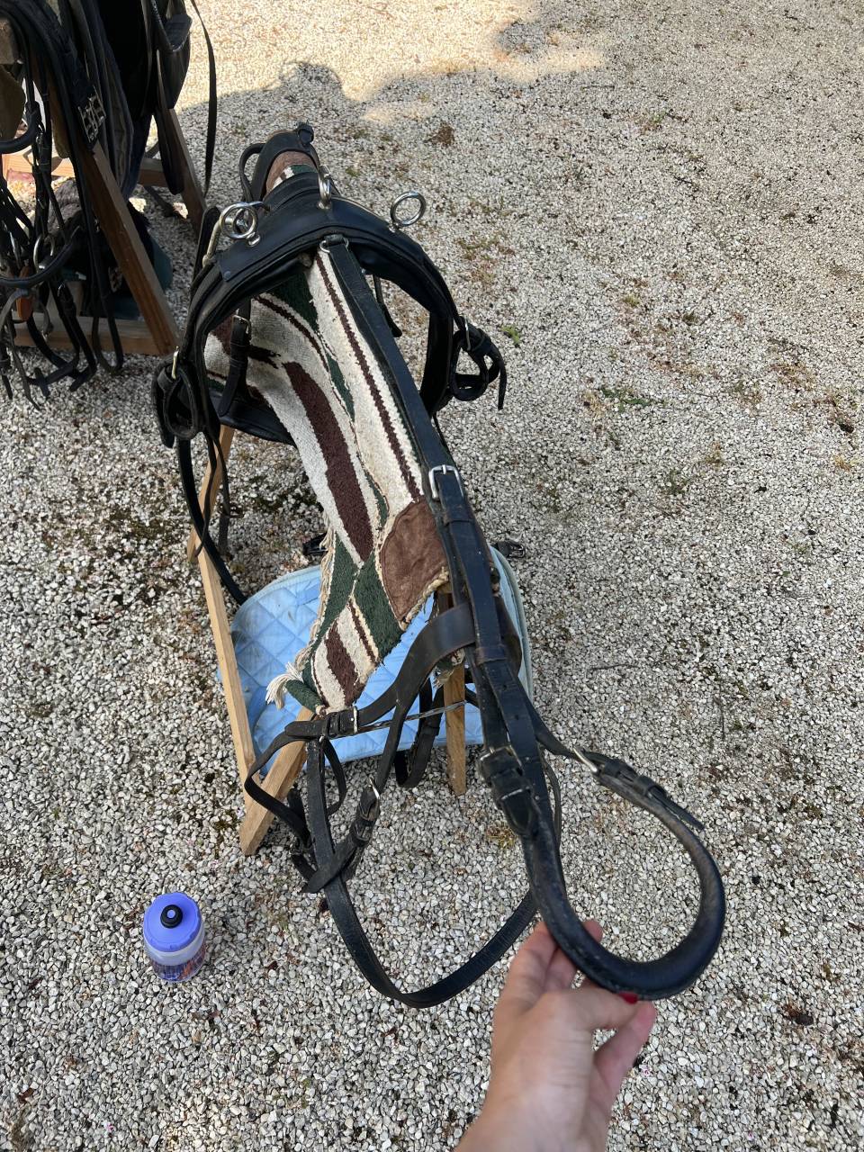 Carriage - Pony sulky  Sulky 