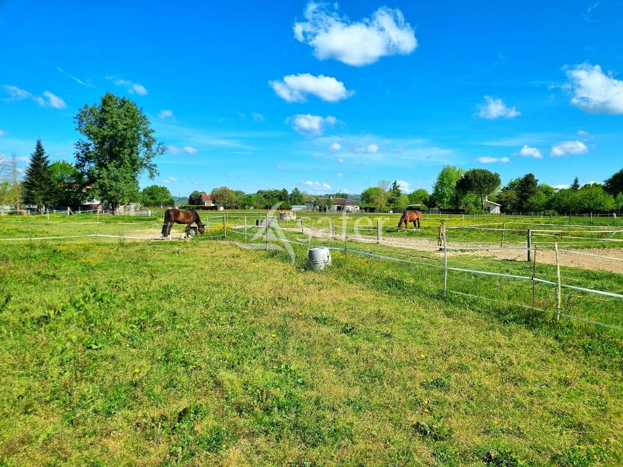 Equestrian property  Tarn-et-Taronne