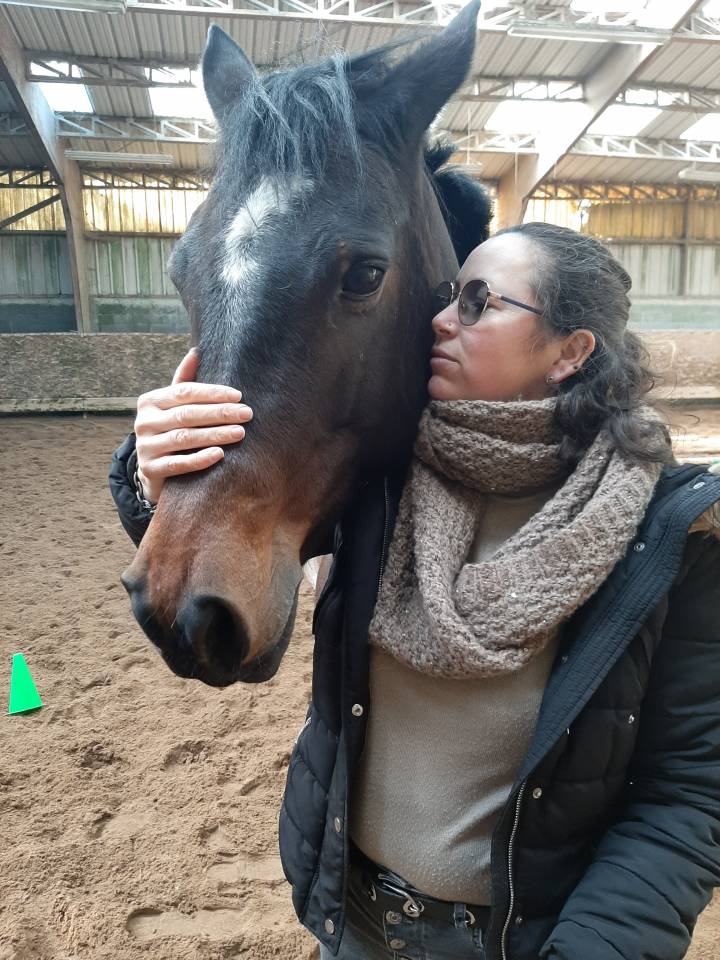 Mare Connemara For sale 2011 Dark Bay