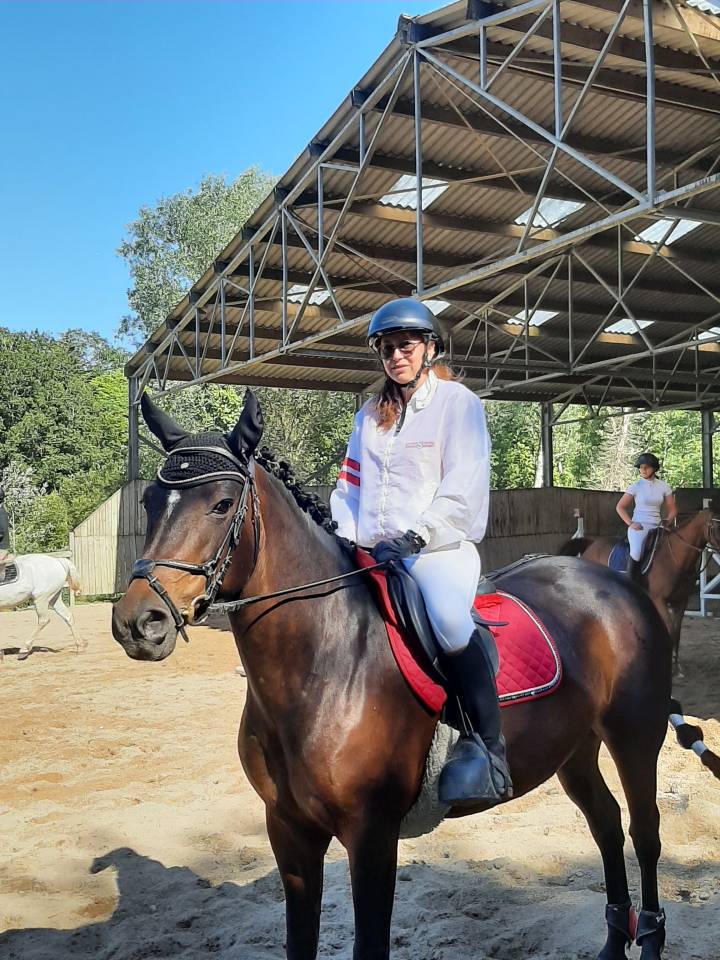 Mare Connemara For sale 2011 Dark Bay