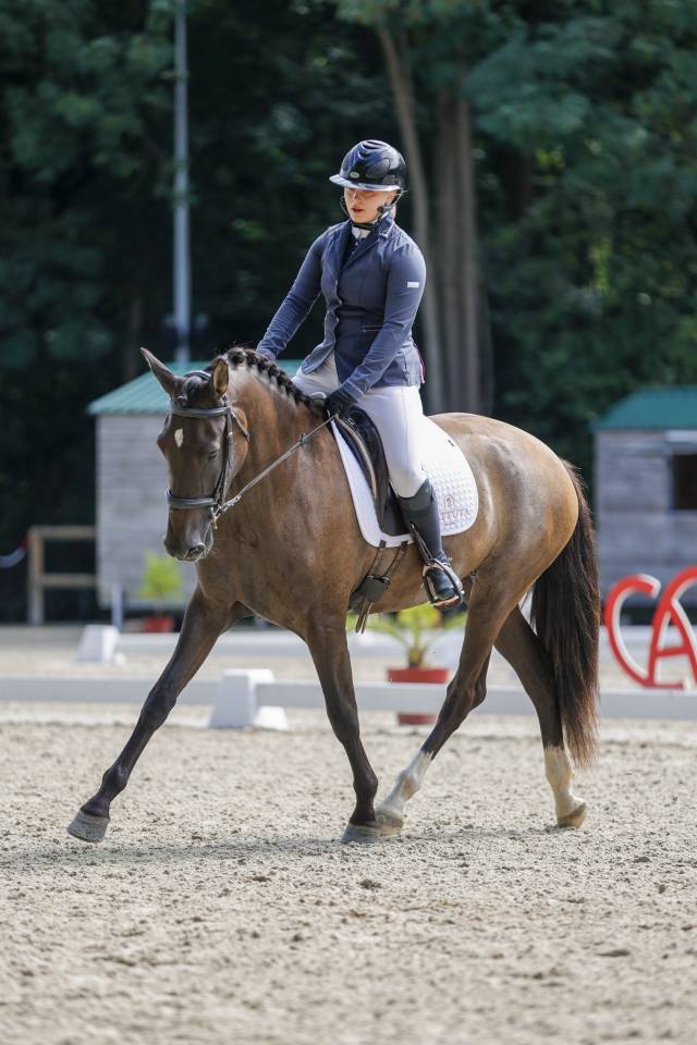 Mare PRE Pure Spanish Bred For sale 2021 Black