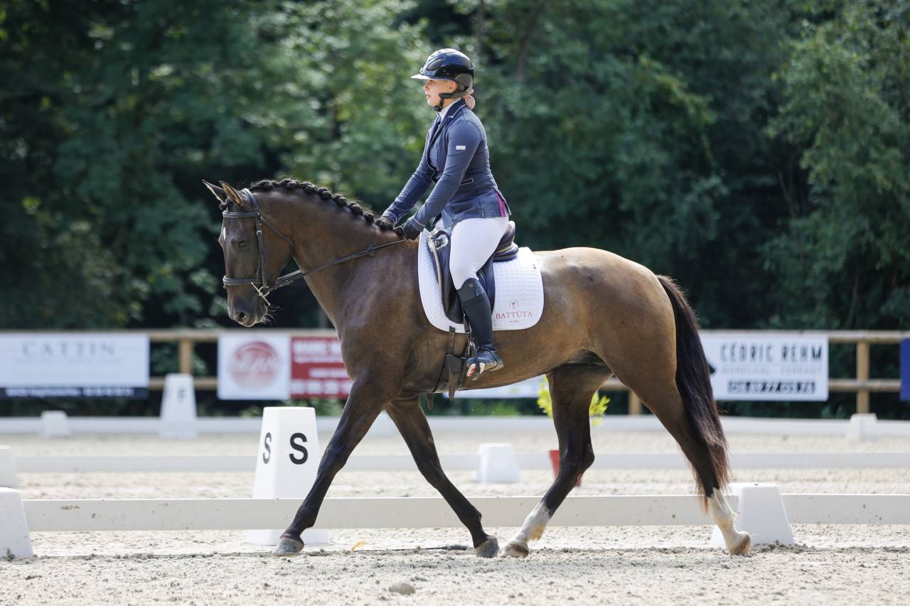 Mare PRE Pure Spanish Bred For sale 2021 Black