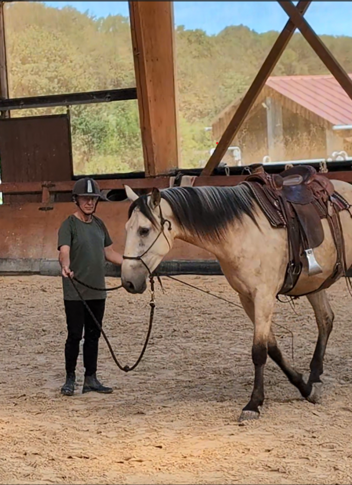 Gelding PRE Pure Spanish Bred For sale 2022 Buckskin