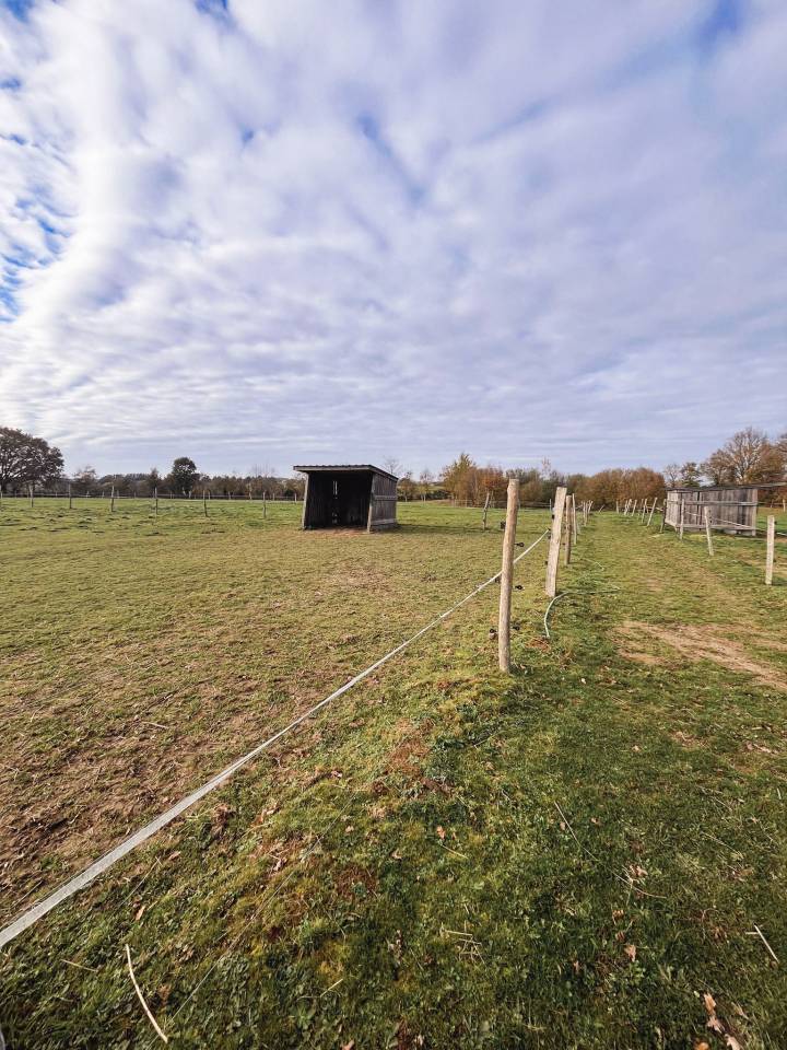 Luxurious equestrian property  Ile-et-Vilaine