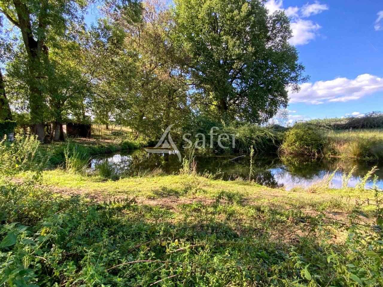 Other agricultural property  Charente-Maritime