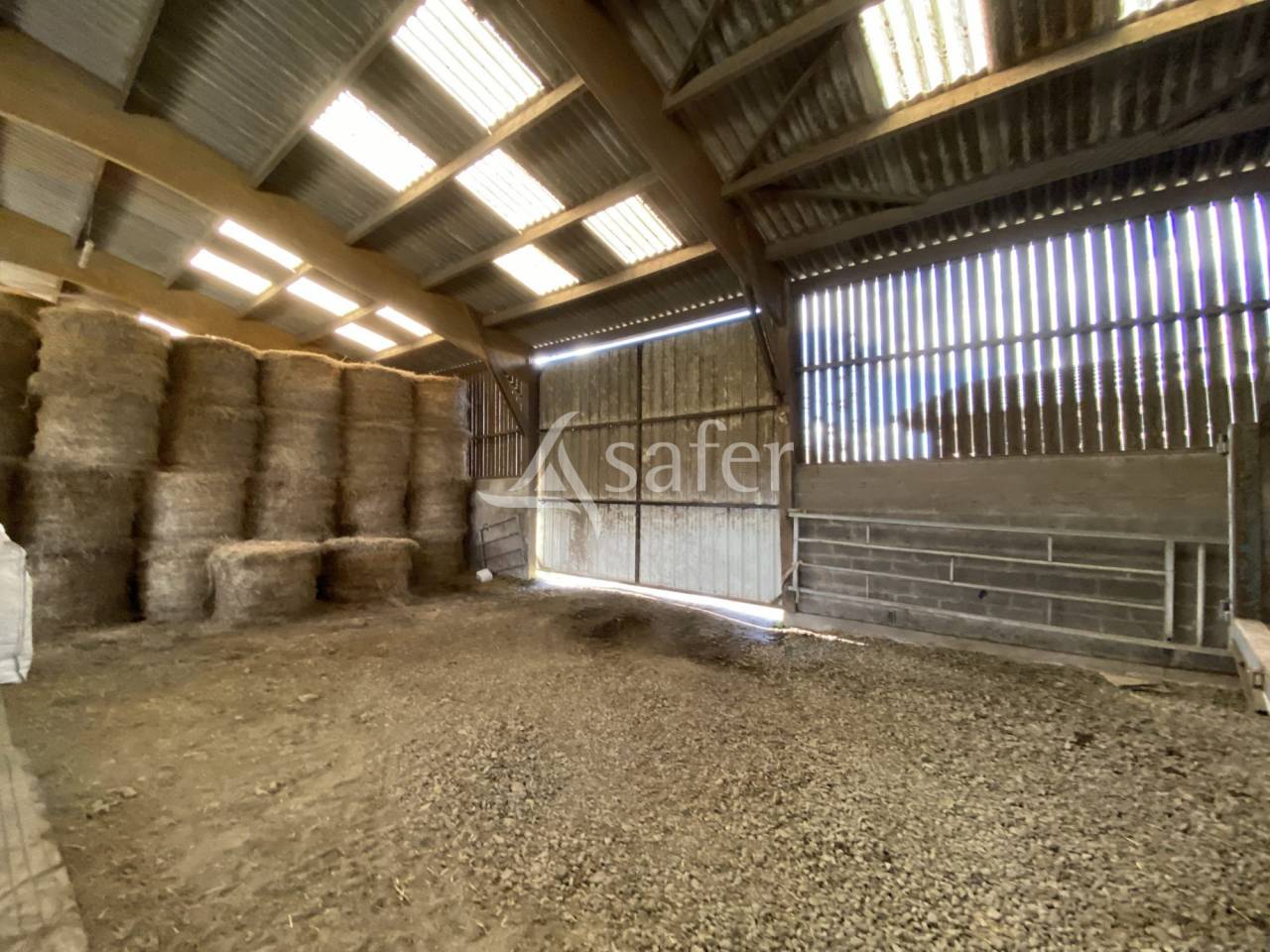 Dairy farm  Calvados