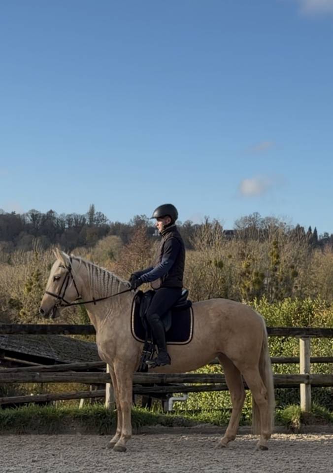 Mare PRE Pure Spanish Bred For sale 2021 Palomino
