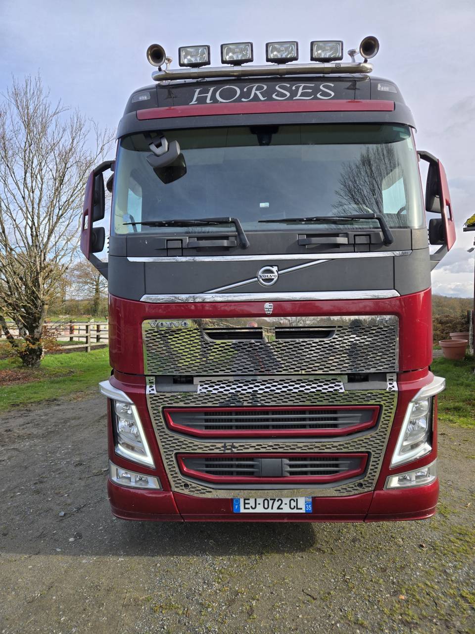 Horsebox NON-HGV Volvo FH 460CH EURO6 2017 Used