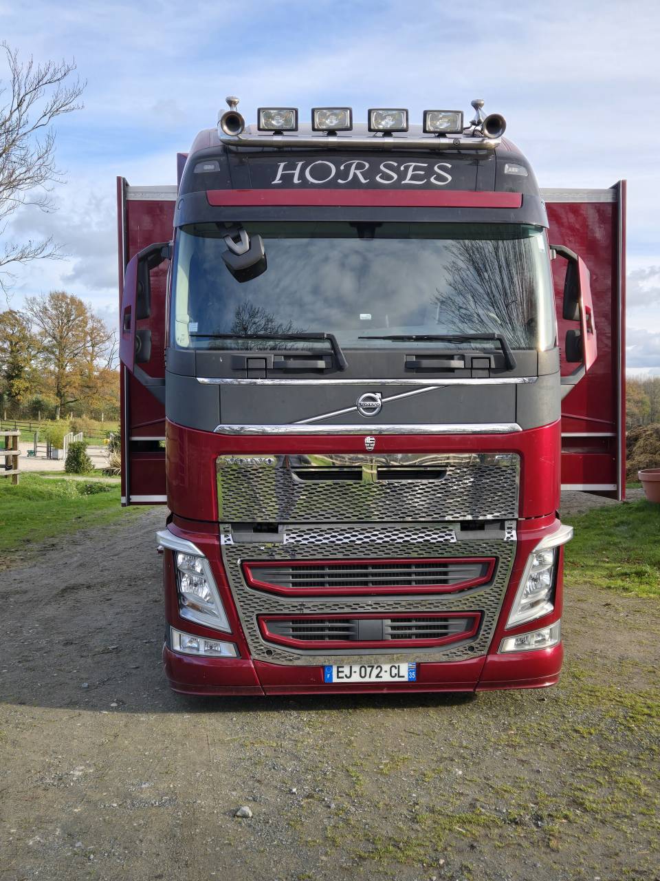 Horsebox NON-HGV Volvo FH 460CH EURO6 2017 Used