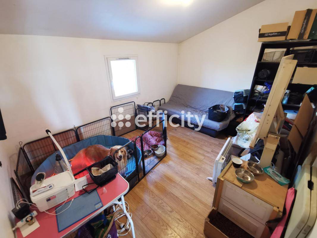 Equestrian property  Calvados