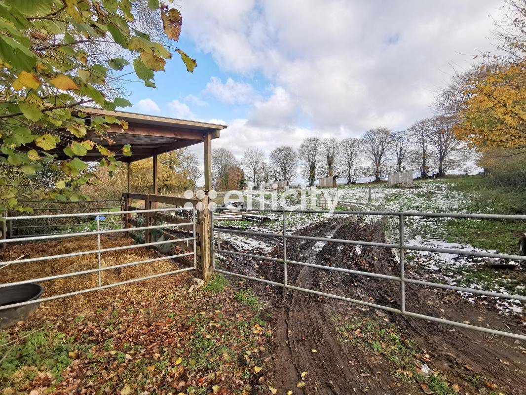 Equestrian property  Calvados
