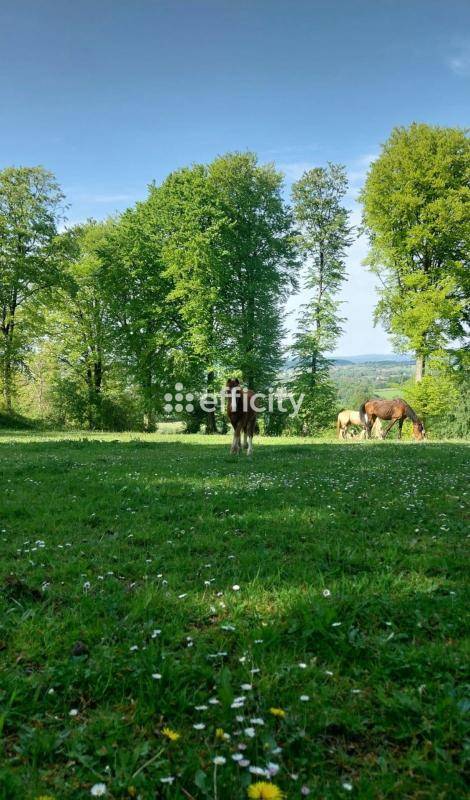 Equestrian property  Calvados
