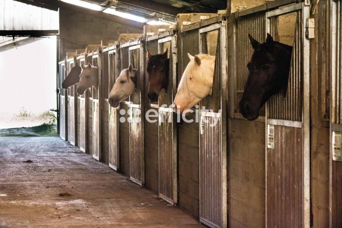 Equestrian property  Gers