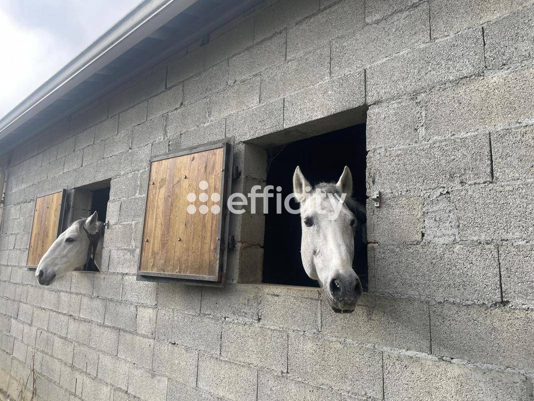 Equestrian property  Gers