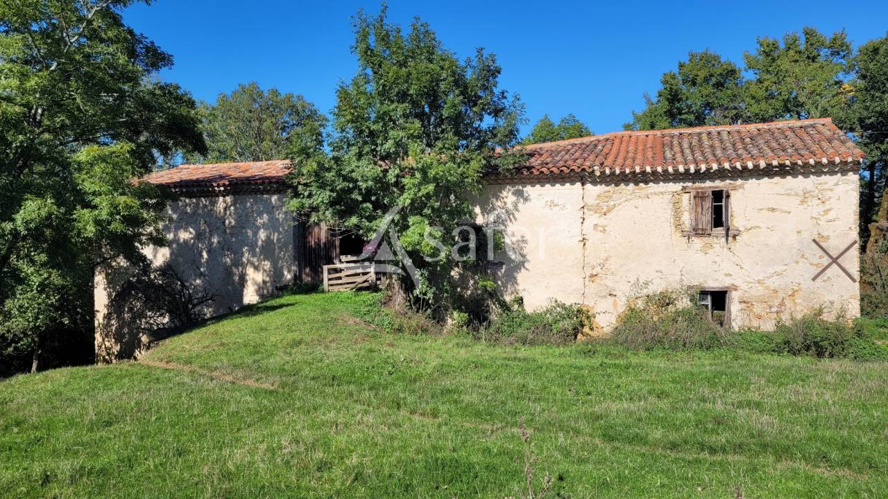 Other agricultural property  tarn