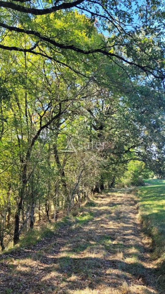 Other agricultural property  tarn