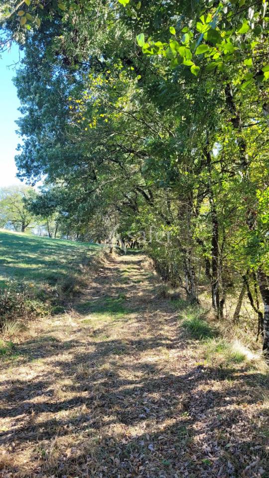 Other agricultural property  tarn