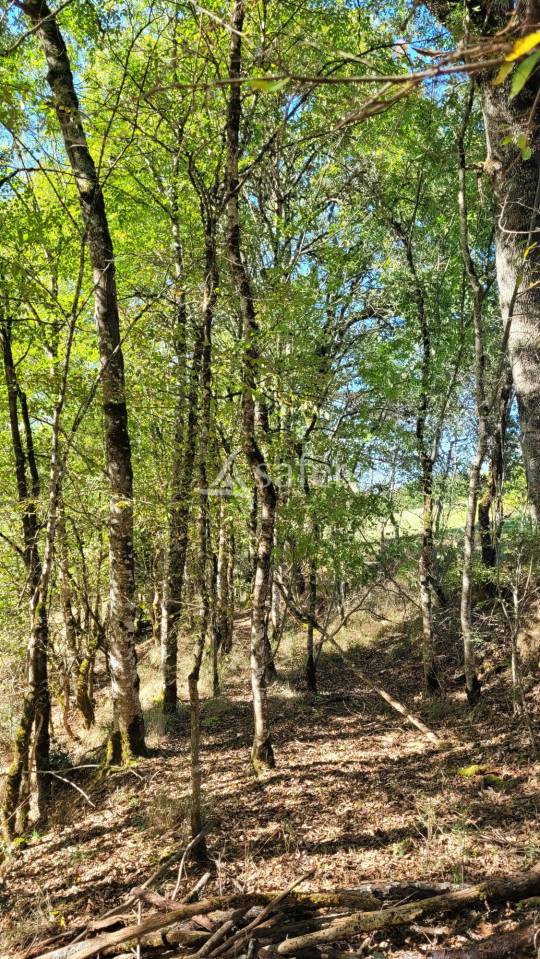 Other agricultural property  tarn