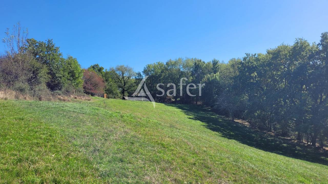 Other agricultural property  tarn
